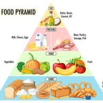 food nutrition groups pyramid