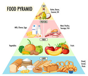 food nutrition groups pyramid